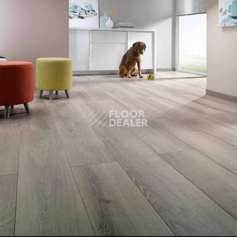 Alsafloor Osmoze СЕРЫЙ БИЛДИНГ 437 фото 2 | FLOORDEALER